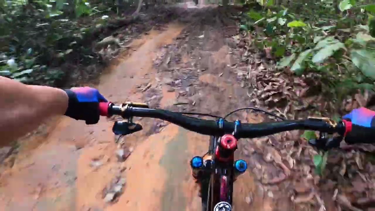 T15 RIDE 2026