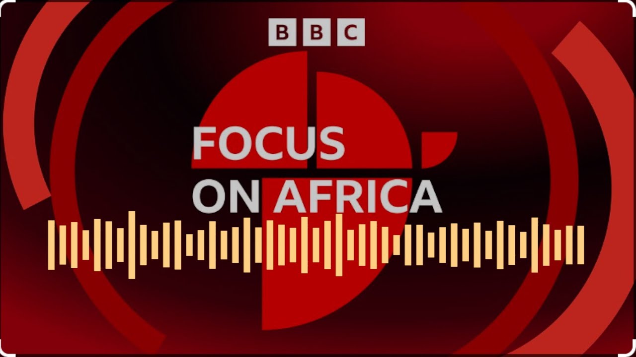 The history of the Afrikaans language - Focus On Africa Podcast