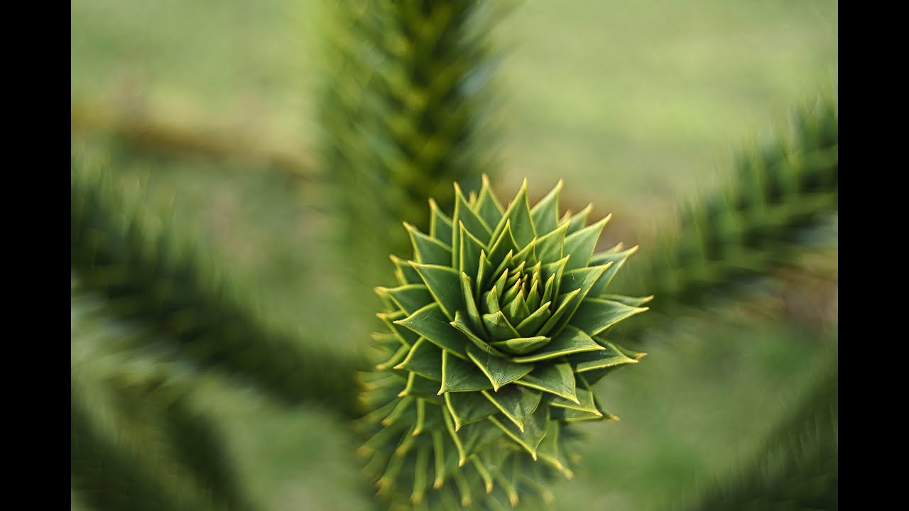 17.3.2o26       úterý v 7:30 hod.