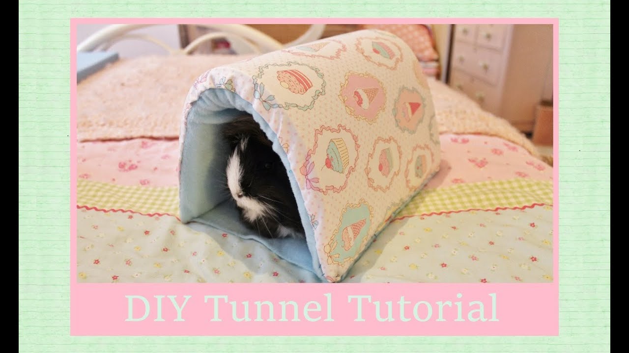 DIY Guinea Pig Tunnel Tutorial