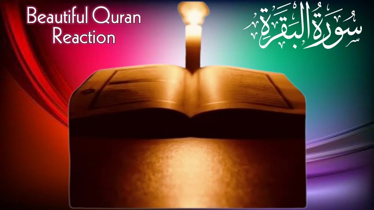 Surah Al Baqarah Full ( Beautifull Quran Recitation ) By Sheikh Mishary Afasy | سورة البقرة | Ep:342