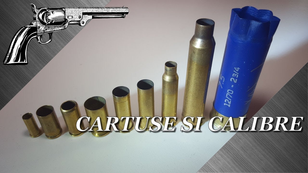 Cartuse si calibre [RO]