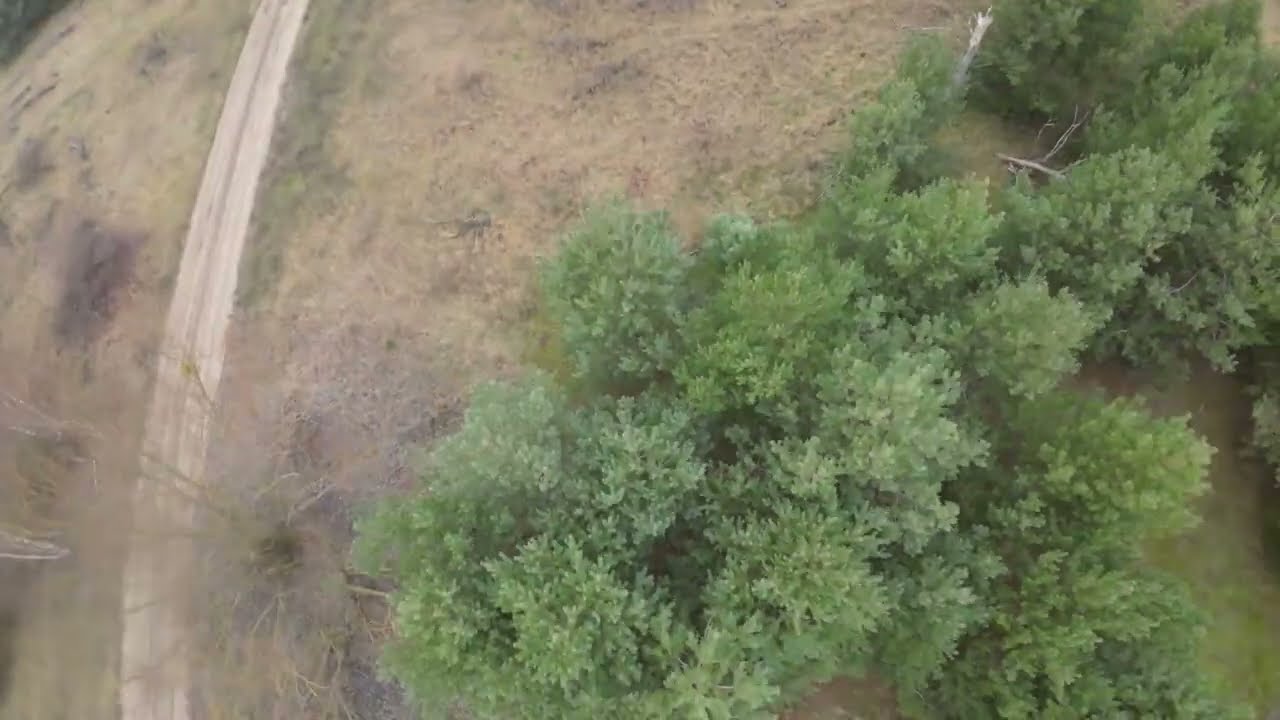DJI Avata HQ props 4x4 test