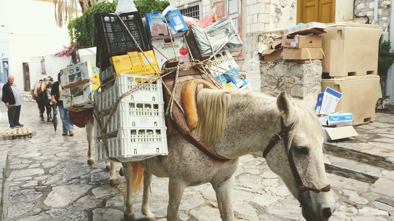 Donkeys in Hydra, Greece / ギリシャのイドラ島のロバ