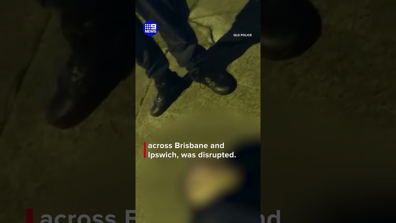 Operation X-Ray Antler targeting hoons in Queensland | 9 News Australia