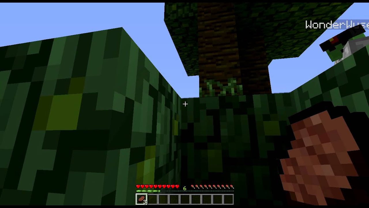 Immota-Fides Minecraft Suizid Jump