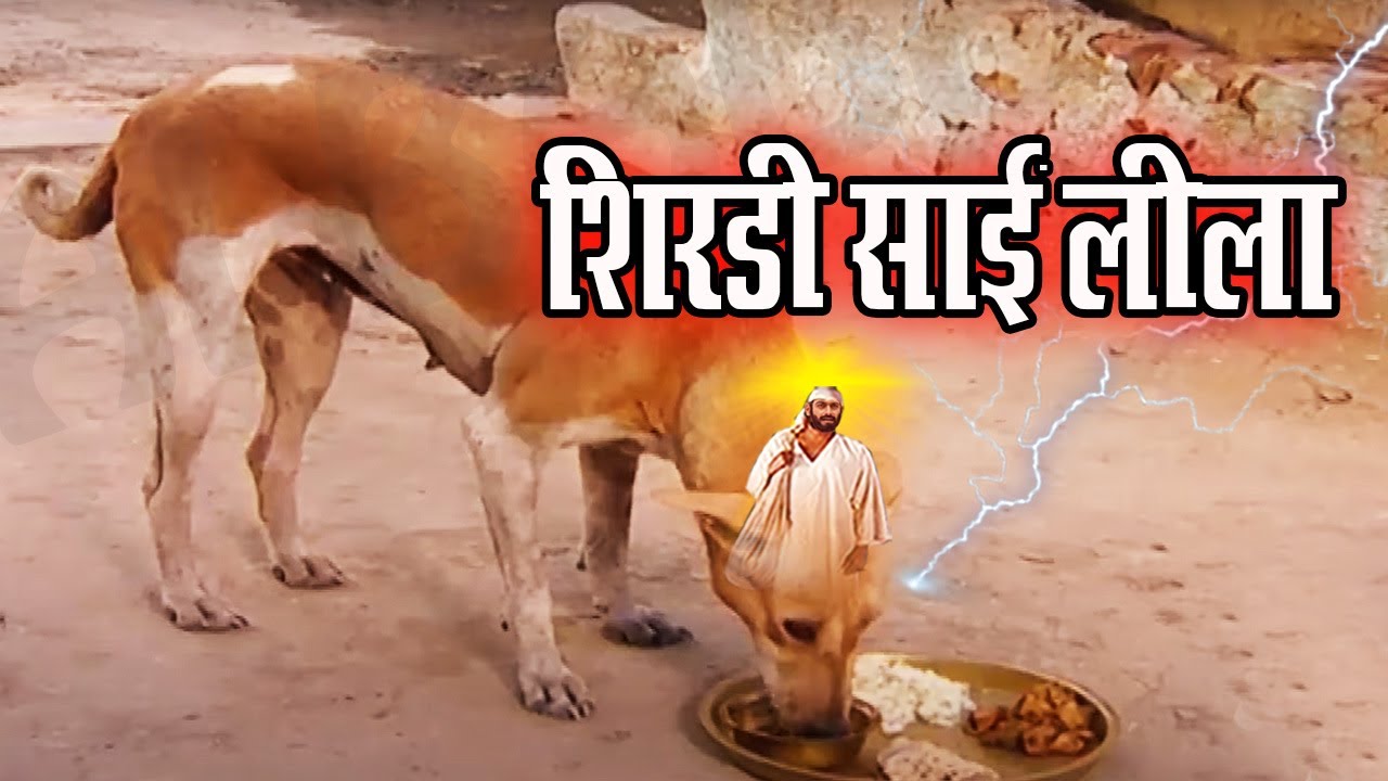 इंसान में भी मैं हूँ और जानवरों में भी मैं हूँ | साईं की जानवर लीला @saibaba3350