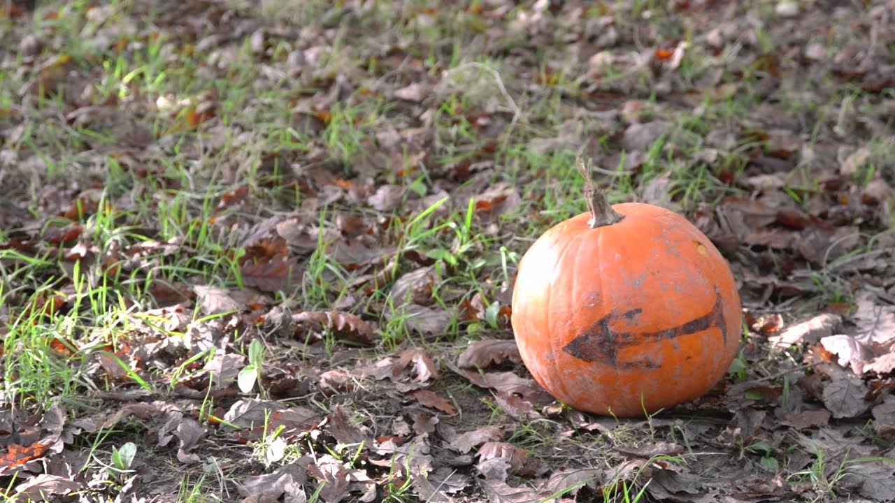 Heligan Halloween
