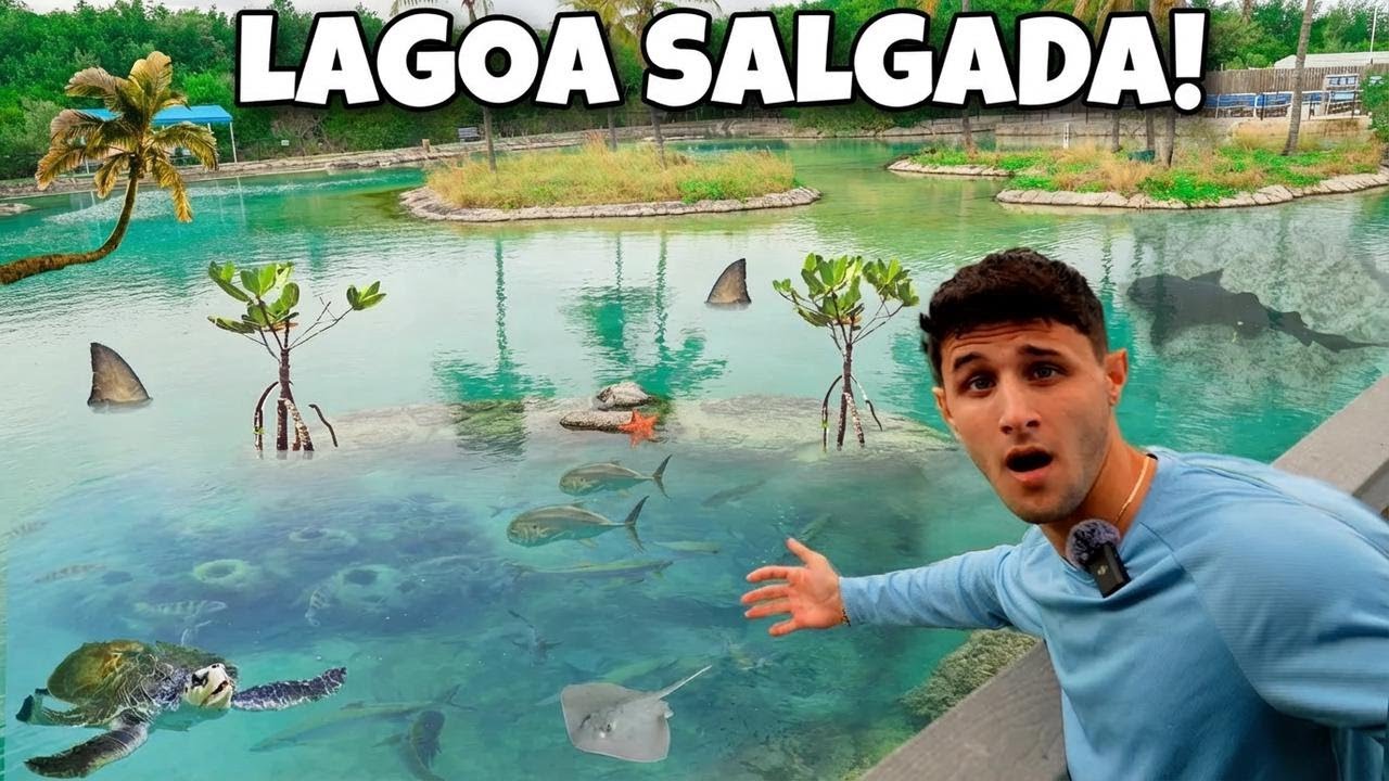 Alimentando uma lagoa de água salgada com 2,8 milhões de litros! Peixes gigantes em ação