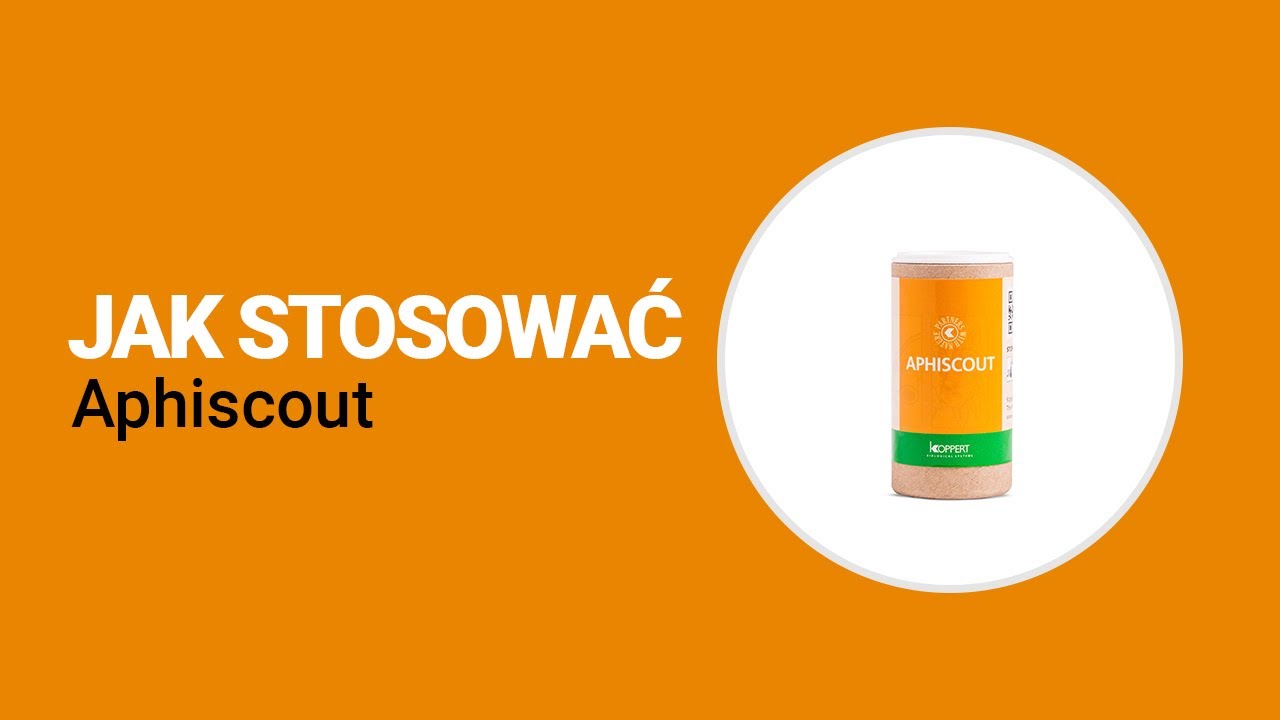 Jak używać produktu Aphiscout firmy Koppert? | Koppert Polska