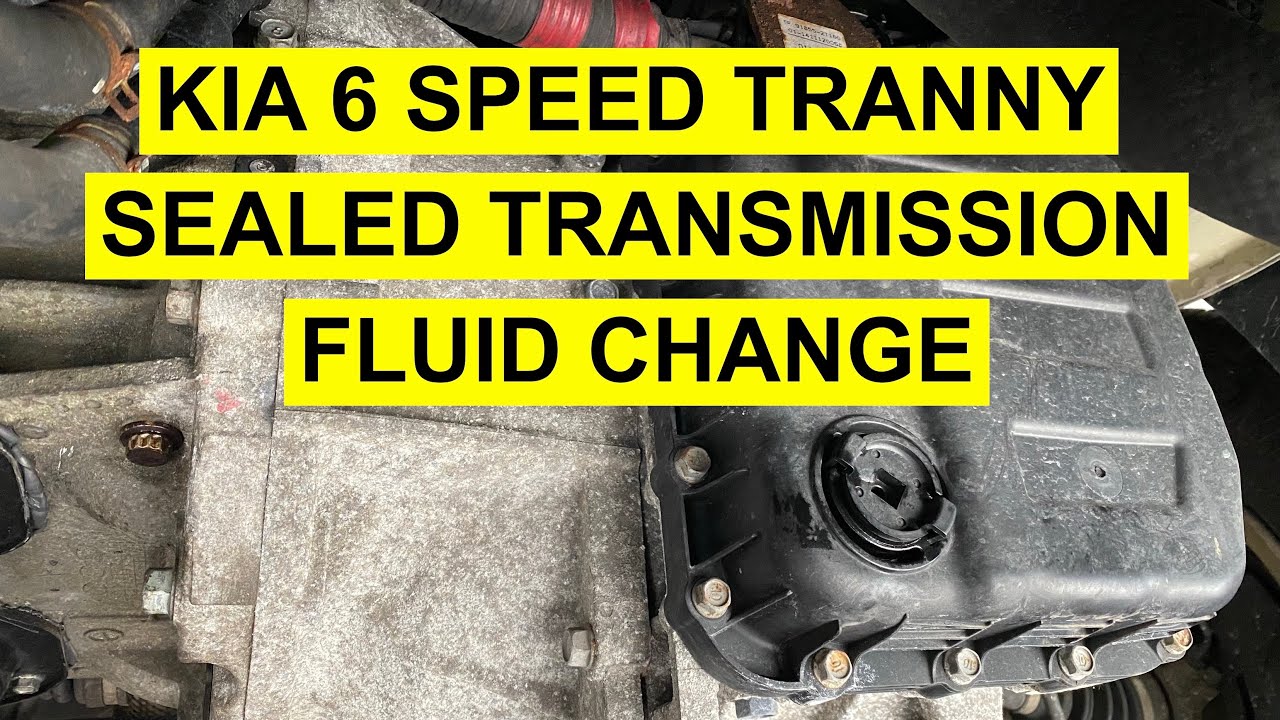Sealed Transmission Fluid Check & Change In Kia Optima Sorento  Sportage Rio Santa Fe etc. 2011 & Up