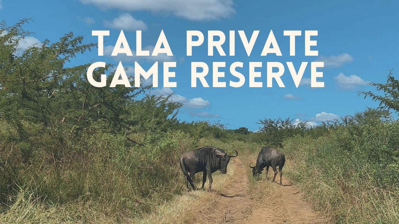 Tala Private Game Reserve