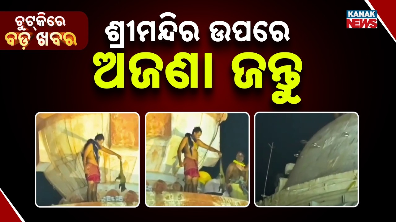 Chutkire Bada Khabar || 12th JUNE 2026 || 9PM Digital Bulletin || Kanak News