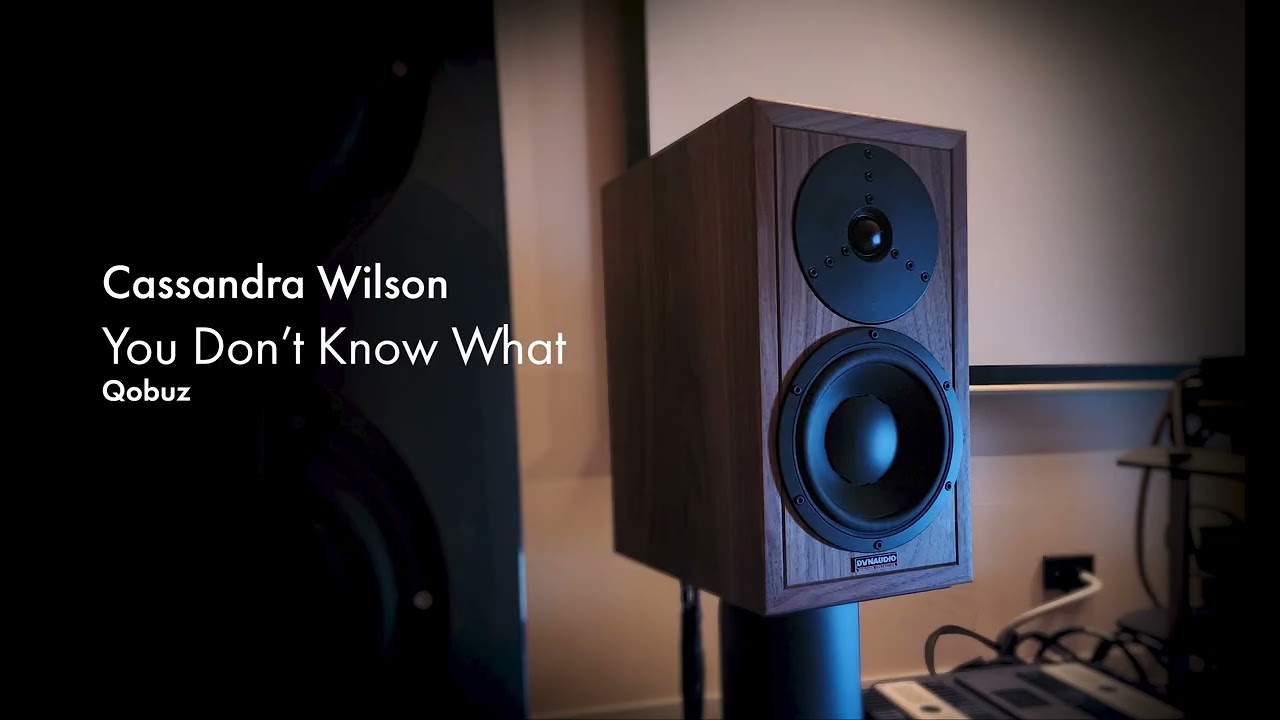 Dynaudio Heritage Special / You don't know what