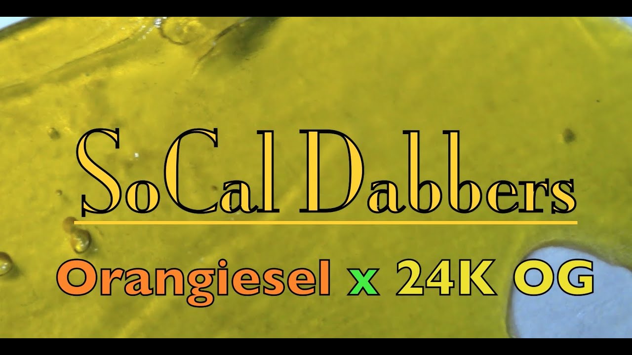 CSTV. Concentrate Review : SoCal Dabbers - Orangiesel X 24k OG NugRun