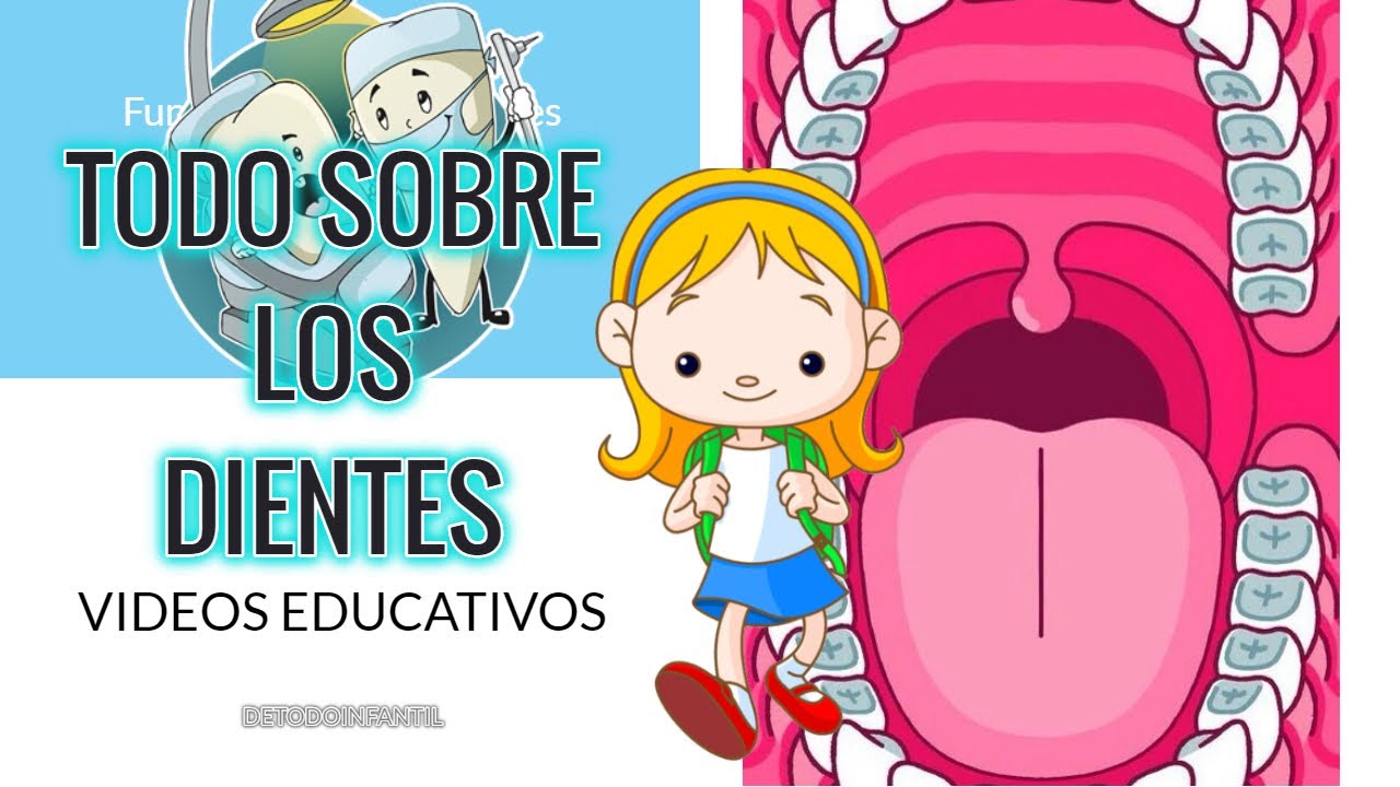LOS DIENTES: QUE SON? FUNCIONES,ENFERMEDADES Y CUIDADOS /VIDEOS PARA PREESCOLAR Y PRIMARIA