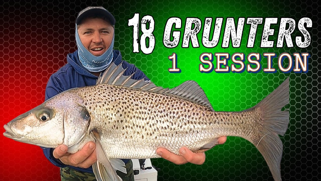 INSANE Fishing Session – 18 Grunters Caught in 1 Trip!”