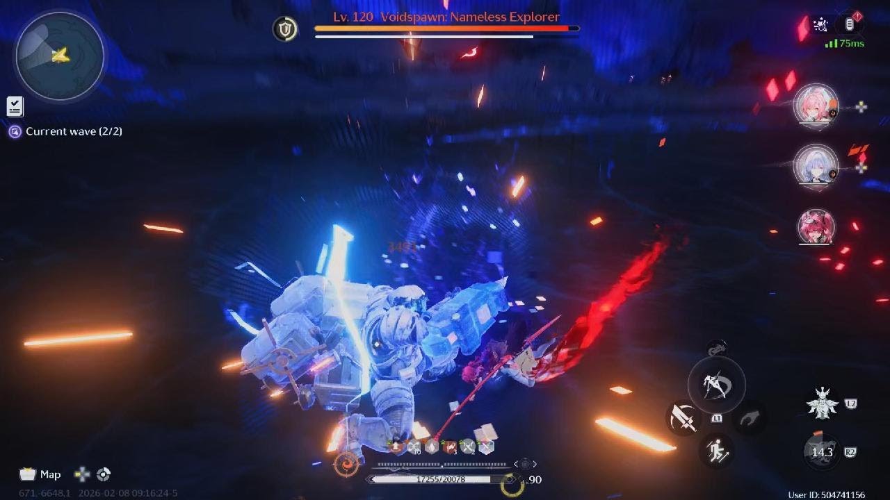 New Fusion Team? (Wuthering Waves)
