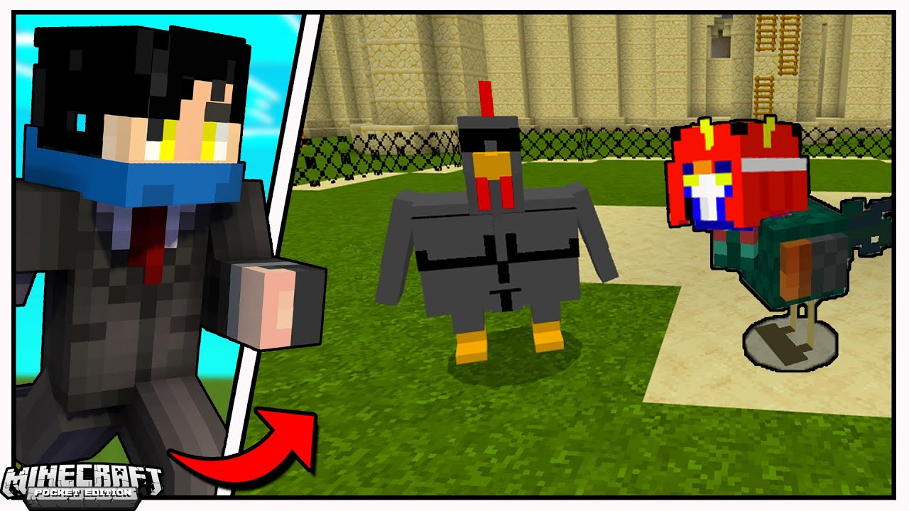 Nag Sabong Kami ni @DaveFromPH vs. Manok ni Taguro sa Minecraft PE!! | Minecraft MOD