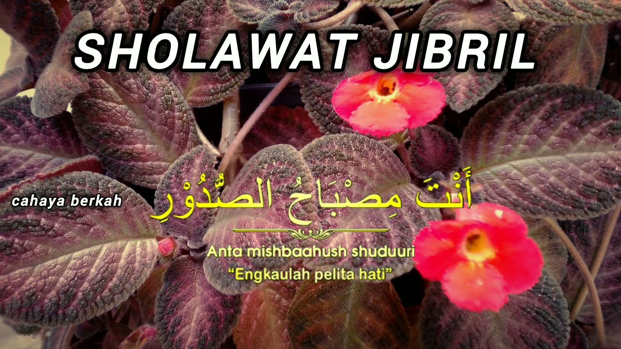 SHOLAWAT JIBRIL PENYEJUK HATI SUARA PEREMPUAN PALING LEMBUT UNTUK KETENANGAN