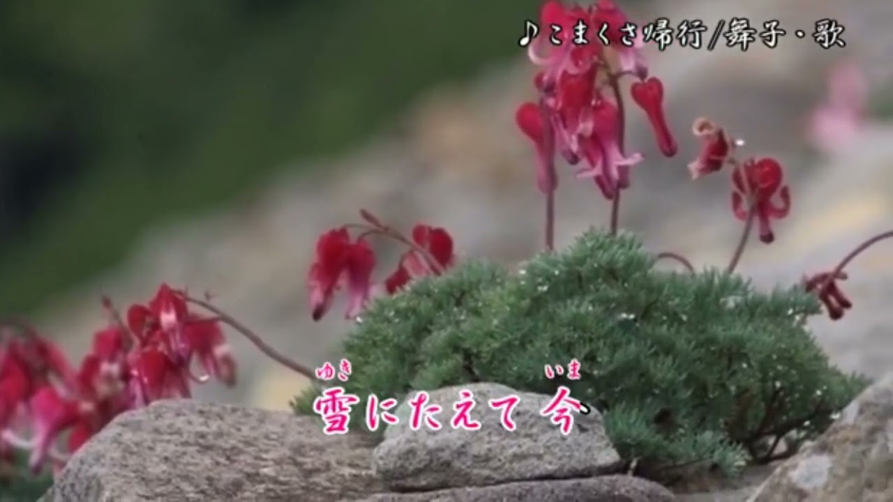 こまくさ帰行/岩本公水　舞子・歌