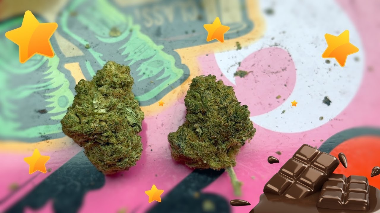 Chocolope CBD Tea Review (The CBD Flower Shop)