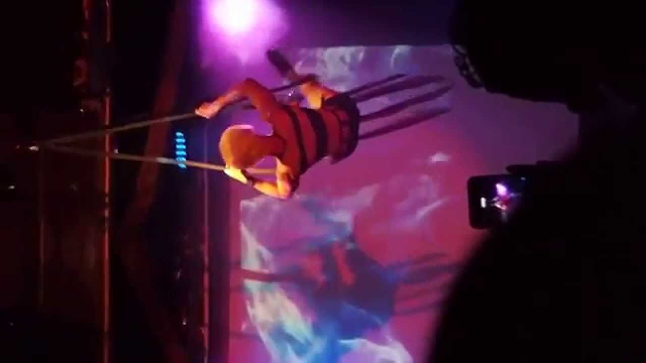 Pink's acrobatic move   You Gotta Get Up & Try