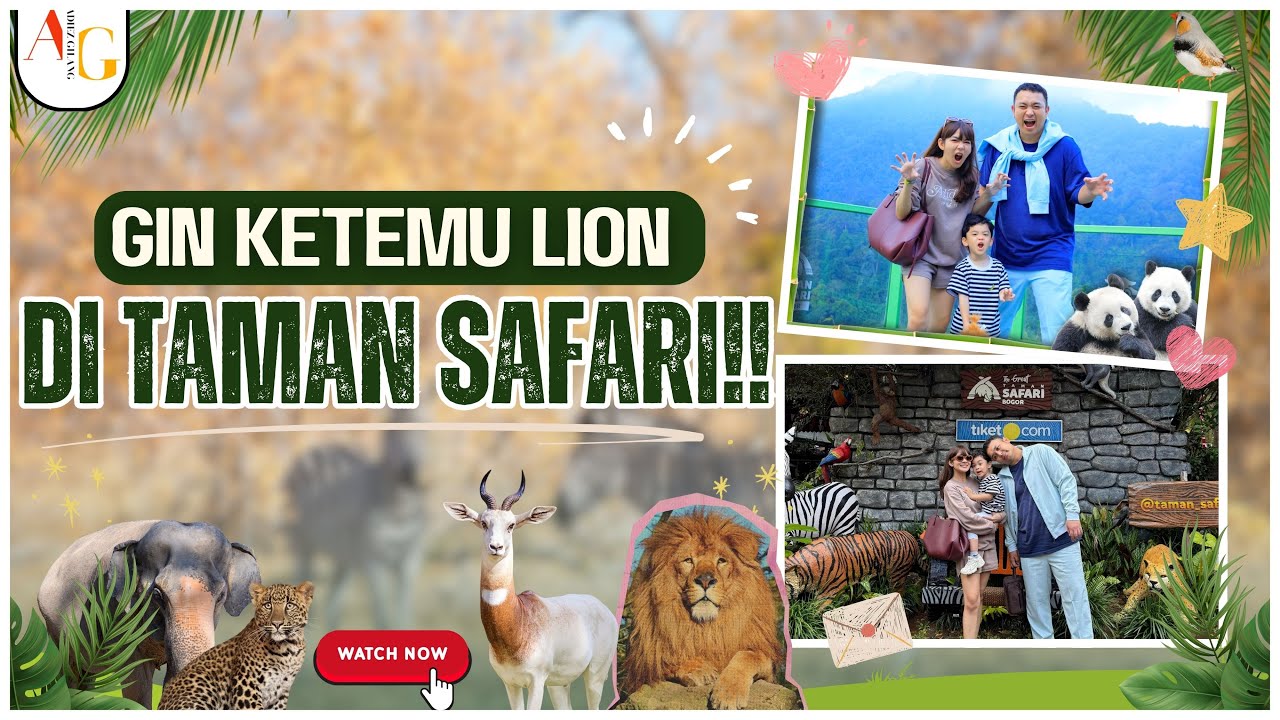 SEHARIAN DI TAMAN SAFARI!! GIN KETEMU LION & LIBURAN SERU BARENG KELUARGA #agvlog #tamansafari