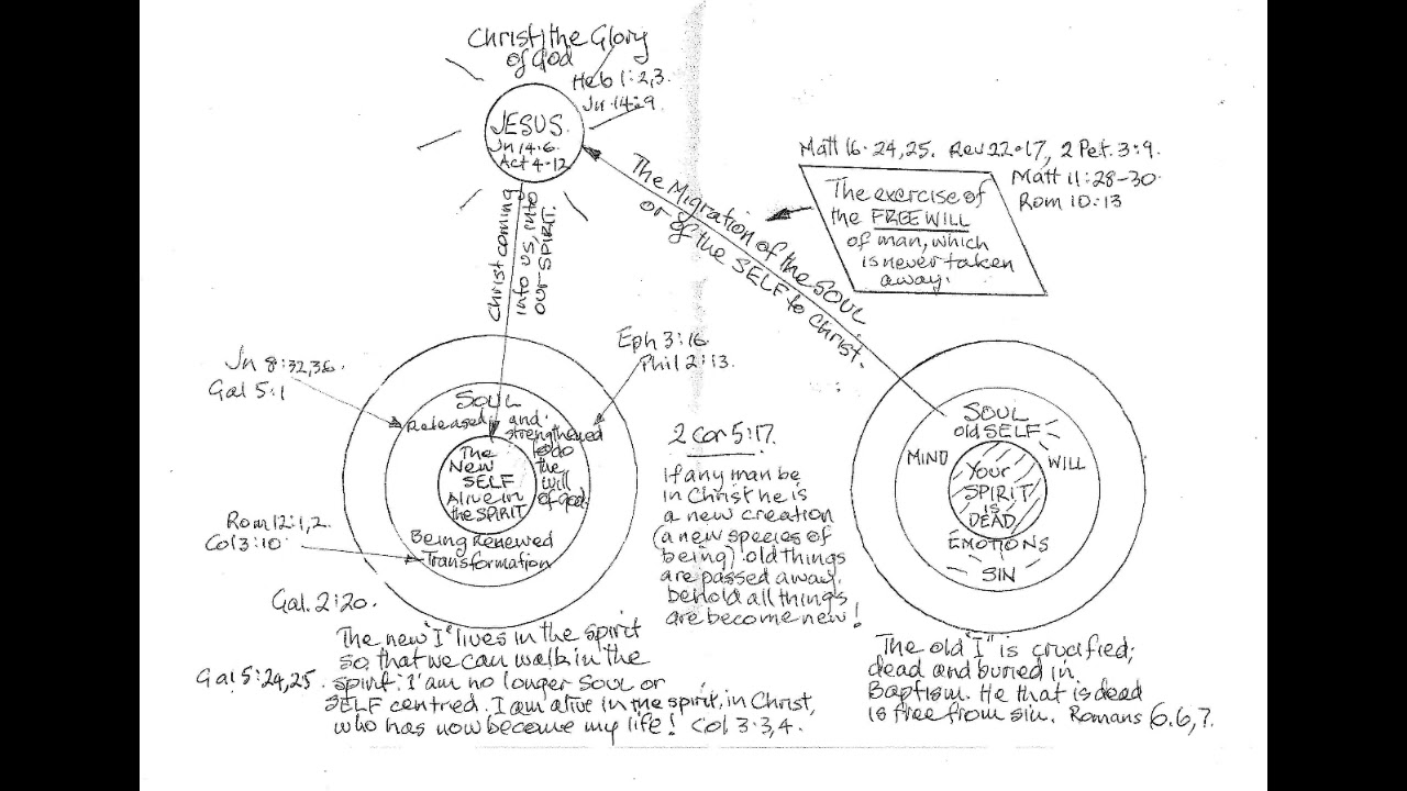 28.  The Bicycle diagram explained.  Growth process.