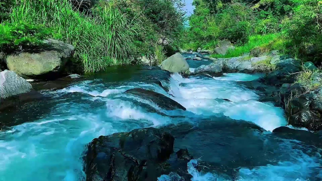 Mountain Stream Flowing Audio, Forest River Calm Sounds, Sleep