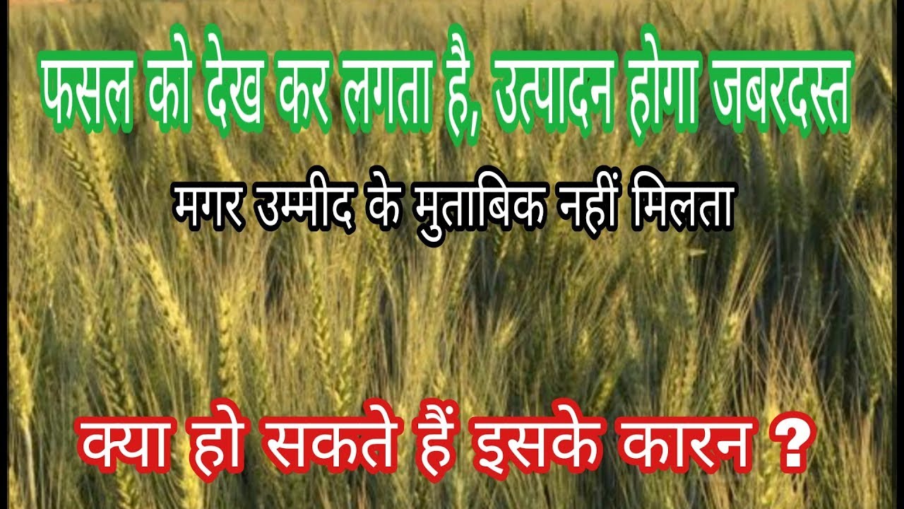 उत्पादन उम्मीद से कम मिलने के मुख्य कारन #Low Yielding Factors in Crops