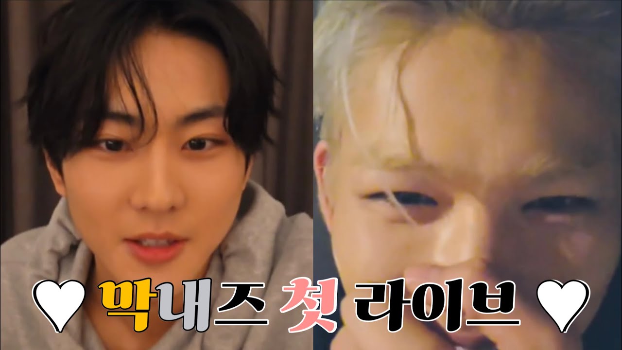 [정원/니키] 충격! 막내즈 라이브 진짜 있음 | 250820 엔하이픈 정원 니키 라이브 요약
