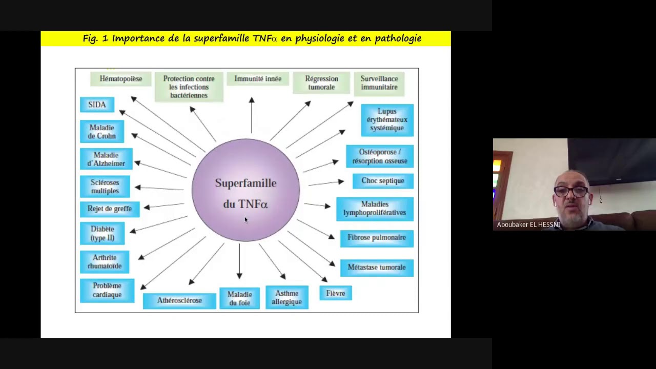 Récepteur du Tnf alpha - Master Biologie et Santé - S2