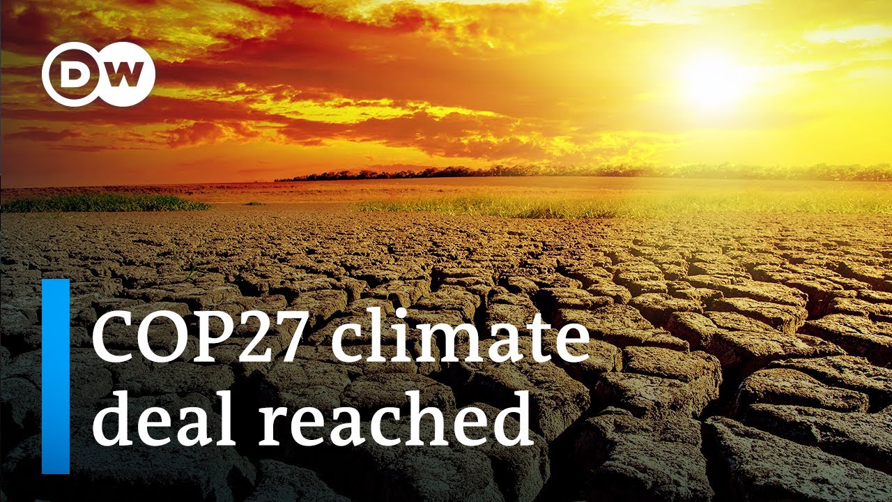 Deal reached at COP27: What's in it and what's missing? | DW News