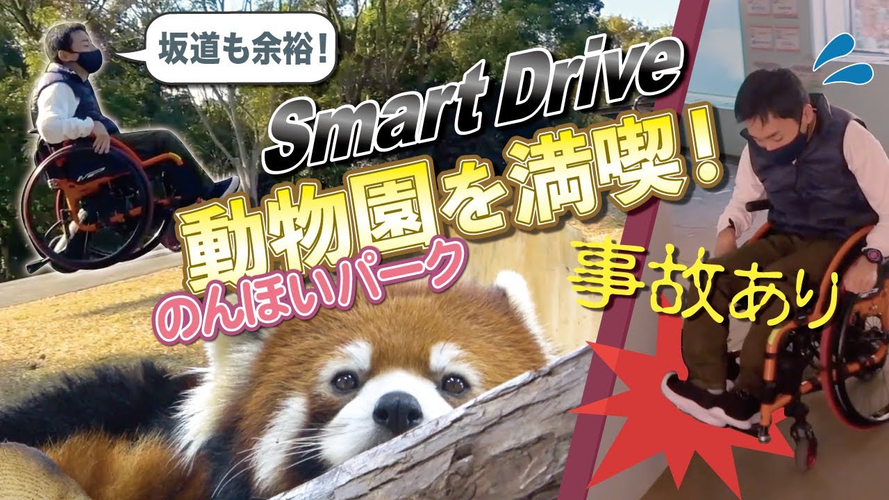 【ほぼ電動車椅子】スマートドライブで超快適に動物園を満喫！ 【誤作動・事故あり】