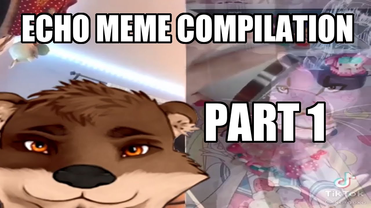 Compilation of random Echo VN memes I made (spoilers)