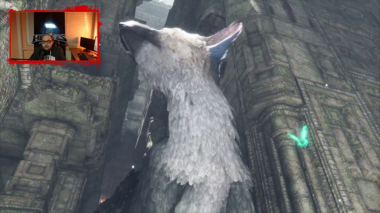 NoThx playing The Last Guardian EP03