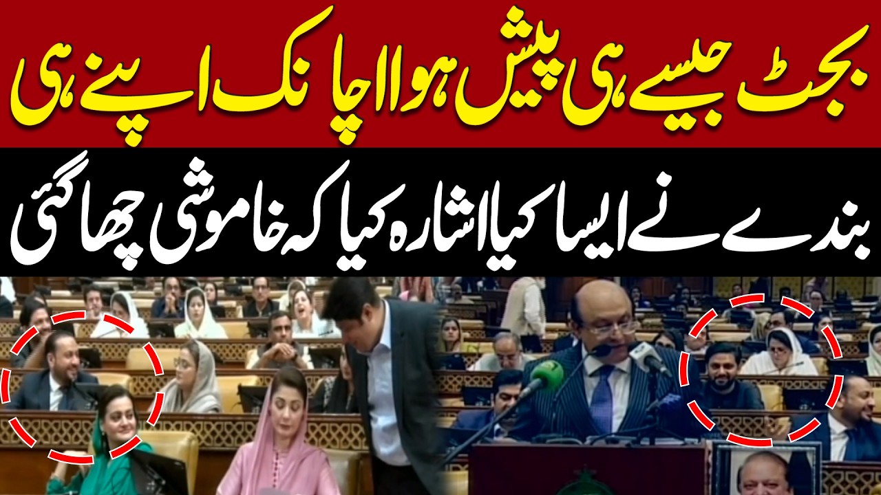 Budget 2026-27: Surprising Signal by Government Member Leaves Assembly Silent | Pakistan News