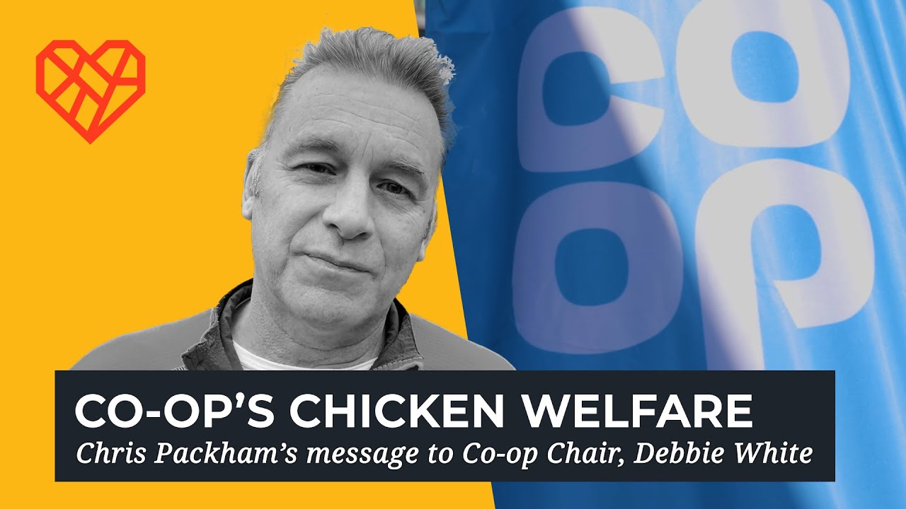 Chris Packham's message for Co-op Chair, Debbie White