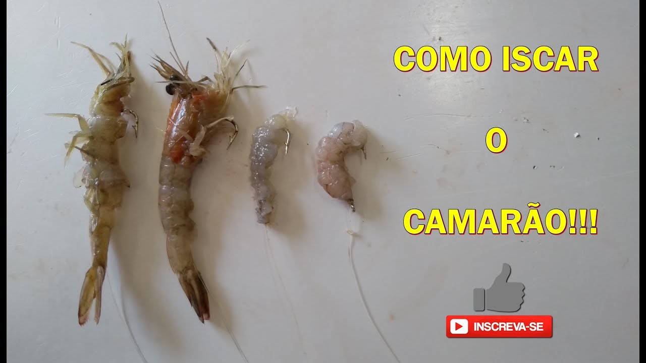 4 FORMAS DE COMO ISCAR O CAMARÃO - PESCA DE PRAIA