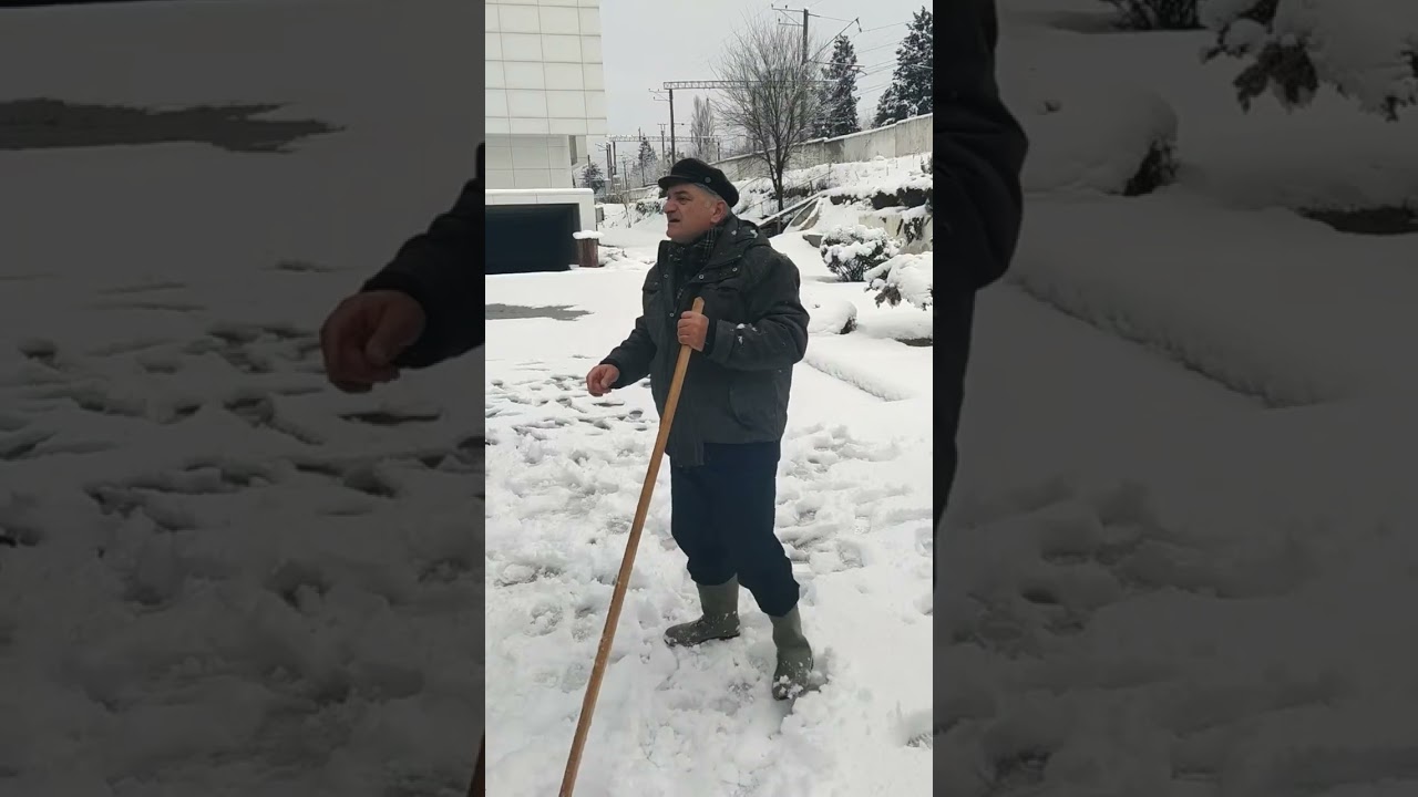 მცენარეთა დაცვა დიდთოვლობის დროს #დიდთოვლობა #მცენარეები #მებაღეობა #მწვანებაღი