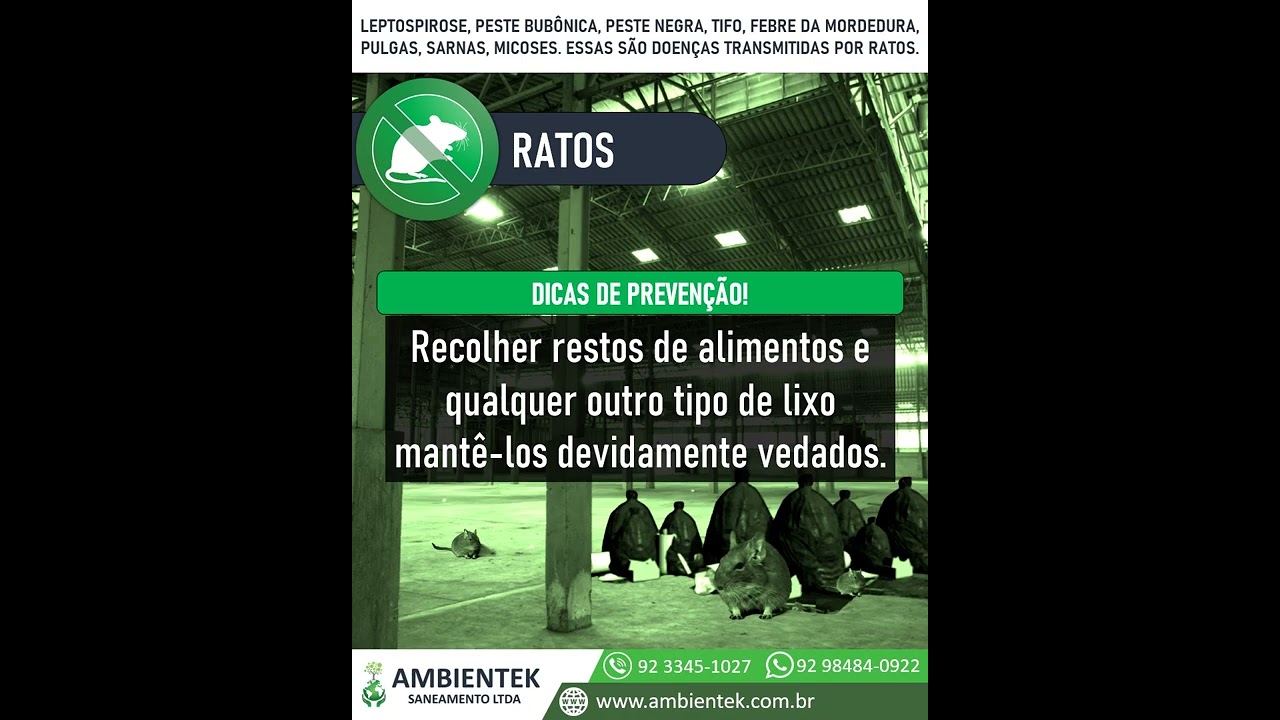 Controle Integrado de Pragas | RATOS