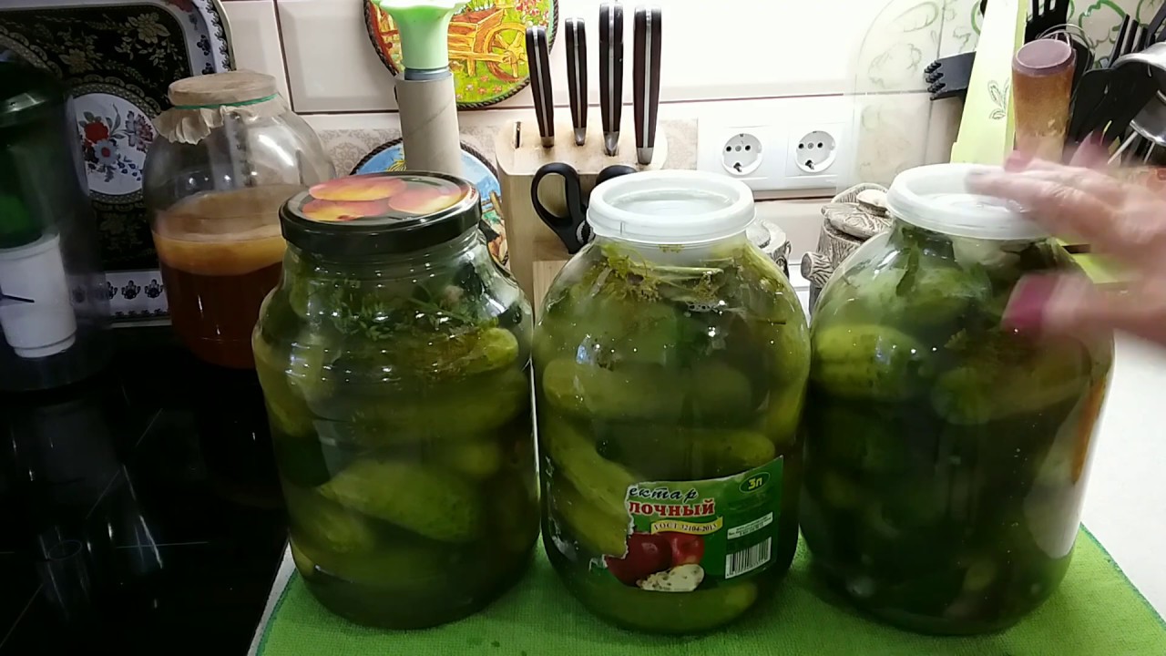 Рецепт СОЛЁНЫХ ОГУРЦОВ,ядрёных,терпких,вкусных .Повторяю рецепт на зло  или на бис.....