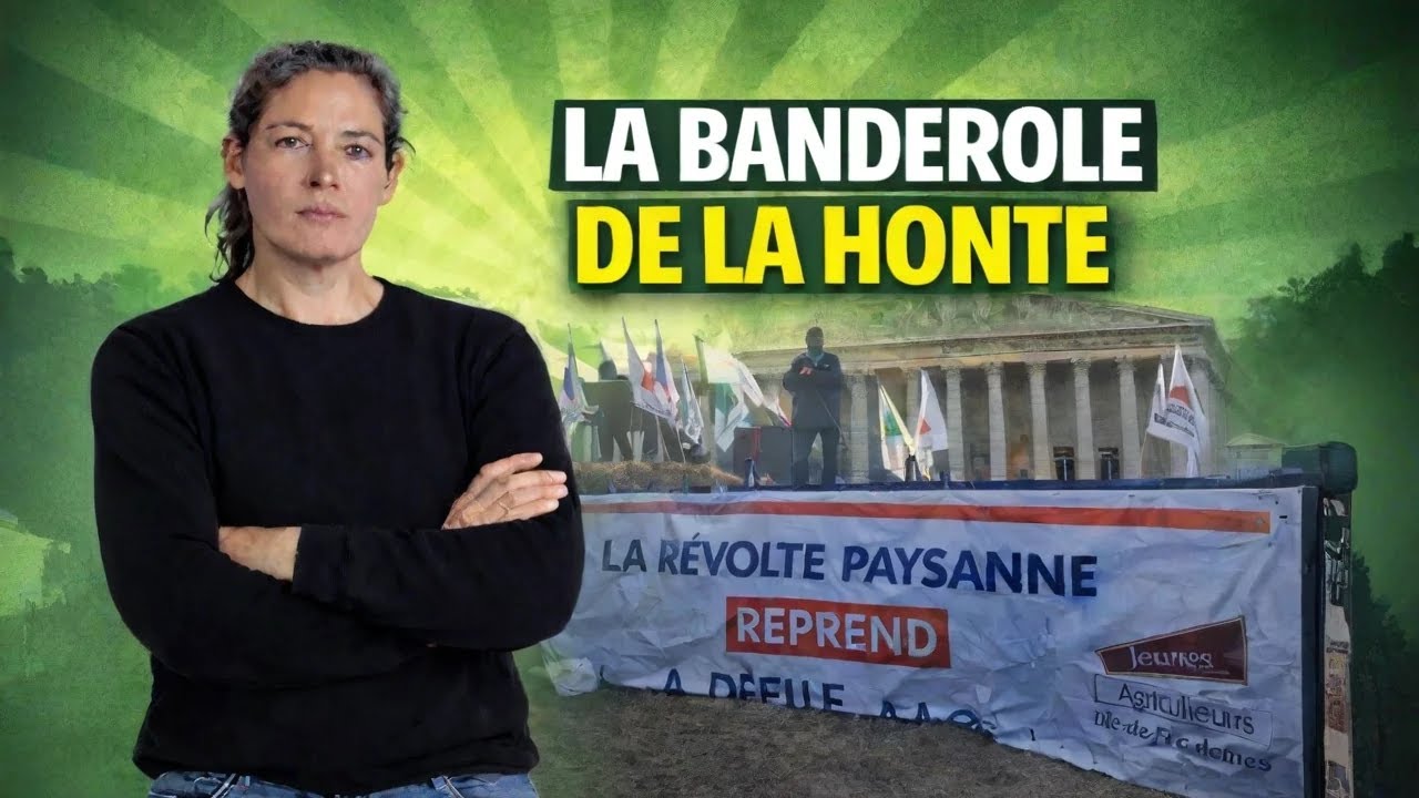 FNSEA : quand l&rsquo;&Eacute;tat choisit sa &ldquo;r&eacute;volte paysanne&rdquo;