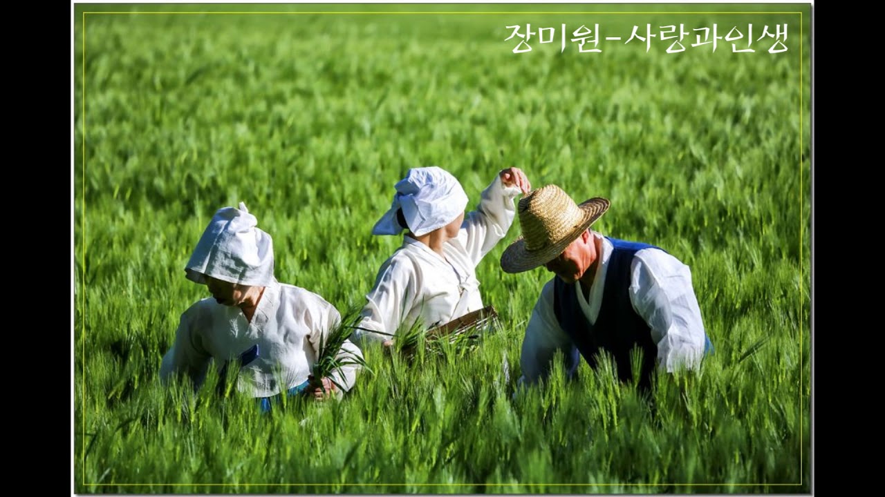 장미원님사랑과인생#장미원님가수동영상#장미원뉴246뿅짝꿍짝음악#장미원서울콜라텍음악동영상 ds3cto전병교동영상제작 2018년5월16일
