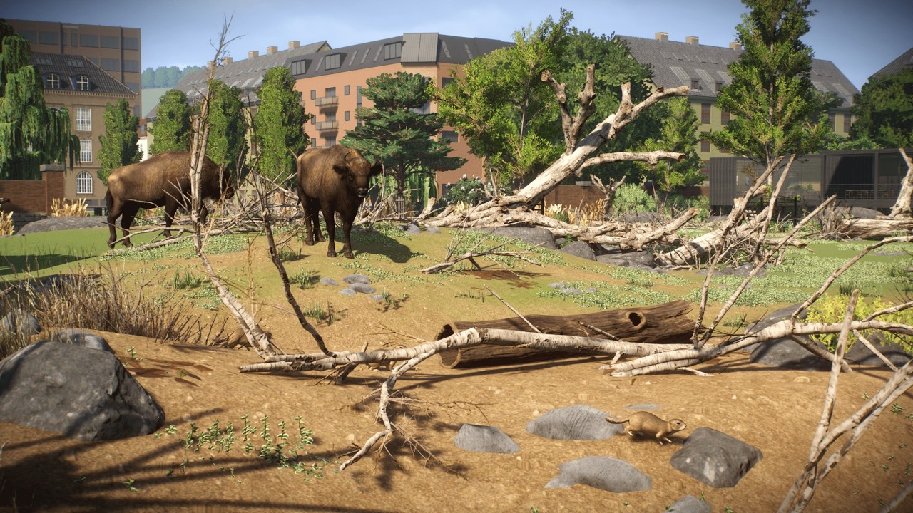 Bisons and more - Leiden Zoo - Planet Zoo