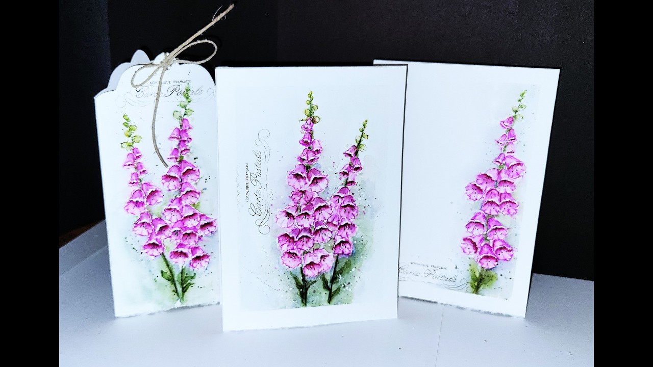 Foxglove ou Digitale Pourpre