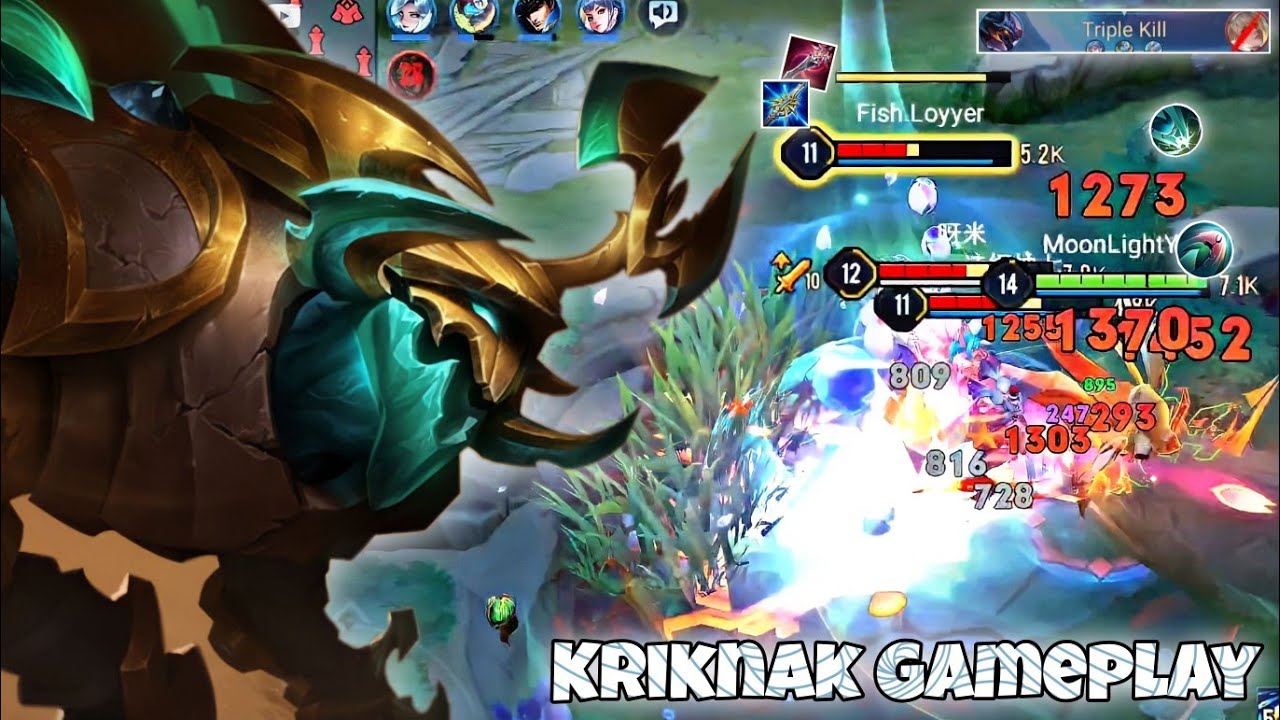 Kriknak Jungle Pro Gameplay | Insane DPS Instant Kill | Arena of Valor Liên Quân mobile CoT