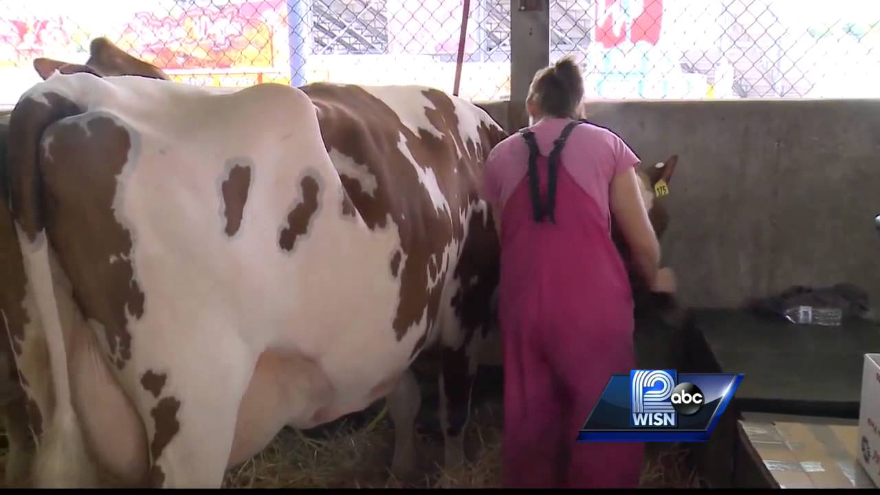 Animals move in for State Fair