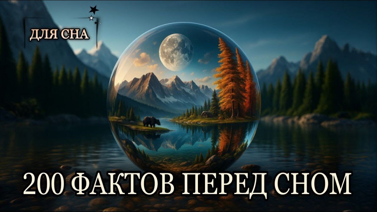 ЛЕКЦИИ ДЛЯ СНА😴200 фактов, о которых вы точно не знали